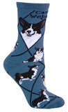 Corgi, Cardigan Welsh
