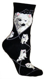 American Eskimo