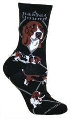 Basset